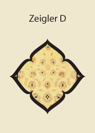 Zeigler D