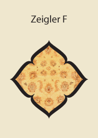 Zeigler F