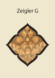Zeigler H