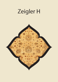 Zeigler H