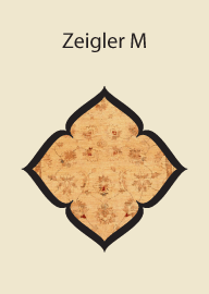 Zeigler M