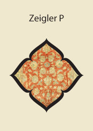Zeigler P
